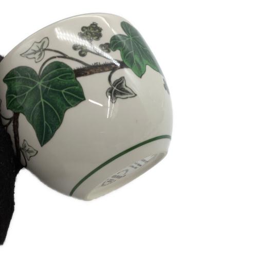 Wedgwood (ウェッジウッド) カップ&ソーサー ナポレオンアイビー