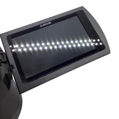 SONY (ソニー) 4Kデジタルビデオカメラ FDR-AX45A 2023年製