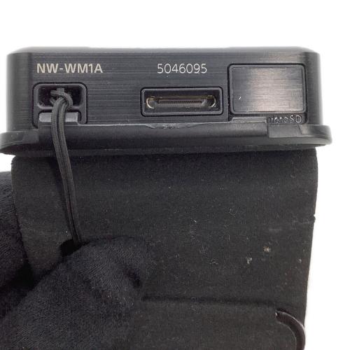 SONY (ソニー) WALKMAN NW-WM1A 再生時間約375時間