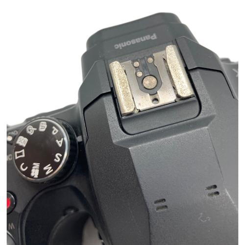 Panasonic (パナソニック) デジタルミラーレス一眼レフカメラ LUMIX DC