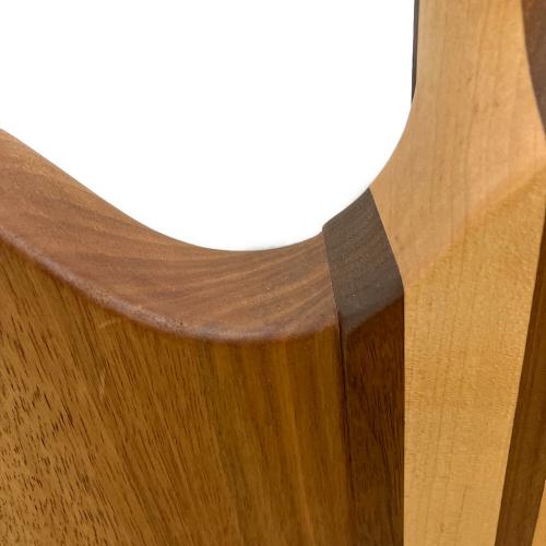 EPIPHONE (エピフォン) サンダーバード エレキベース Thunderbird PRO Ⅳ