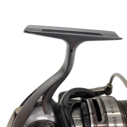 DAIWA (ダイワ) CALDIA 2506H リール