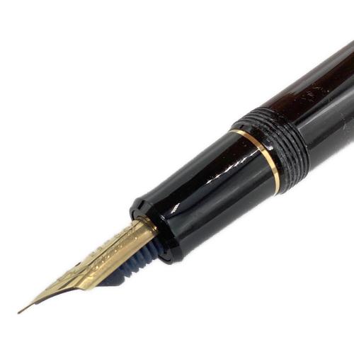 PILOT (パイロット) 万年筆 ペン先14K