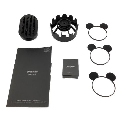 Brighte (ブライト) シャワードライヤー BRT-SD173