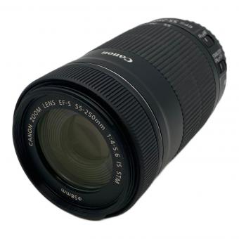 CANON (キャノン) 望遠ズームレンズ