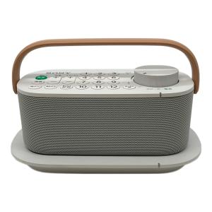 SONY (ソニー) テレビスピーカー SRS-LSR200