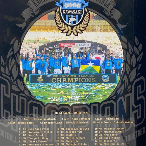 川崎フロンターレ (カワサキフロンターレ) 2018 1stユニフォーム 特別仕様 メンズ SIZE M ブラック×ブルー 【2018明治安田生命J1リーグ優勝記念 第1弾】シリアルNo.230