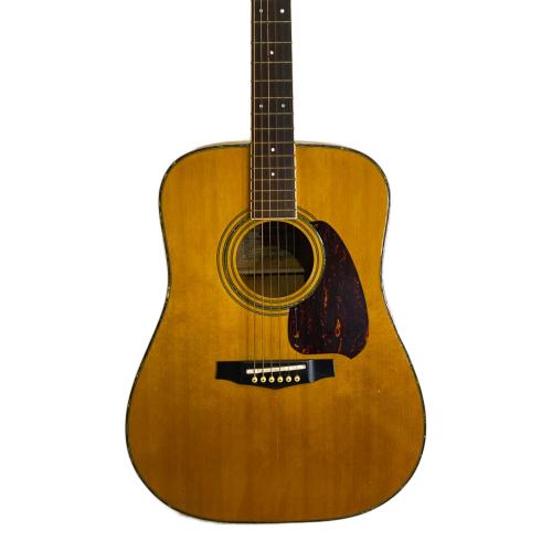 IBANEZ (アイバニーズ) アコースティックギター M310