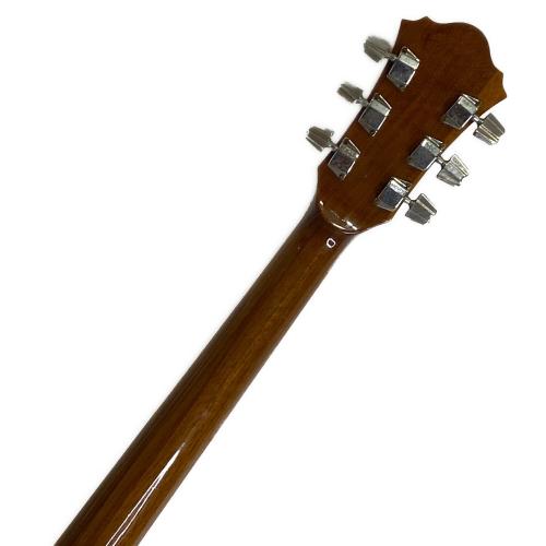 IBANEZ (アイバニーズ) アコースティックギター M310