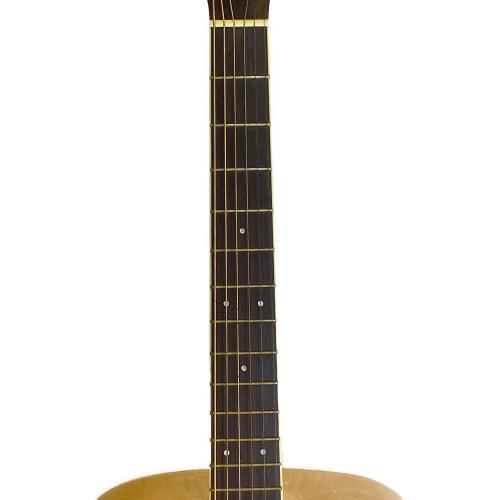 IBANEZ (アイバニーズ) アコースティックギター M310