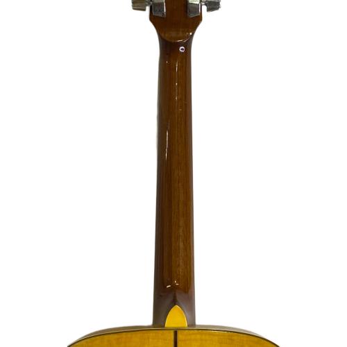 IBANEZ (アイバニーズ) アコースティックギター M310