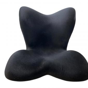 MTG (エムティージー) 姿勢ケアシート Style PREMIUM DX YS-AM03A