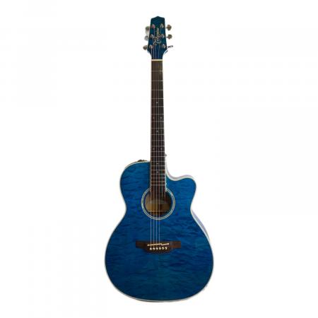 Takamine (タカミネ) エレアコギター DMP-700 CUSTOM 2014年製 CT4DX