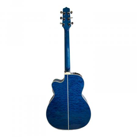 Takamine (タカミネ) エレアコギター DMP-700 CUSTOM 2014年製 CT4DX