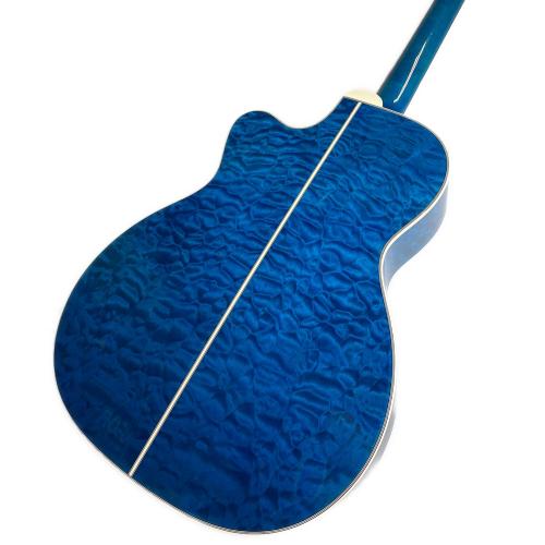 Takamine (タカミネ) エレアコギター DMP-700 CUSTOM 2014年製　CT4DXプレアンプ搭載　電池ボックス欠損