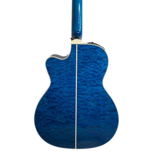 Takamine (タカミネ) エレアコギター DMP-700 CUSTOM 2014年製　CT4DXプレアンプ搭載　電池ボックス欠損