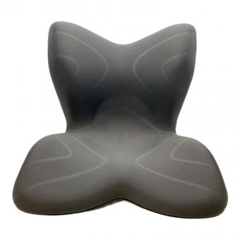 MTG (エムティージー) 骨盤サポートチェア　STYLE PREMIUM