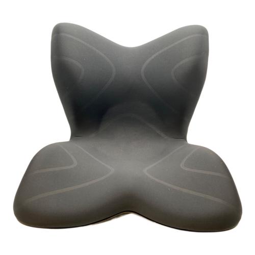 MTG (エムティージー) 骨盤サポートチェア　STYLE PREMIUM