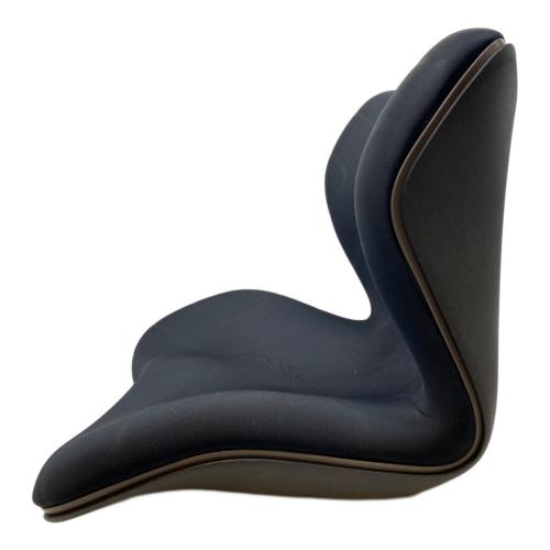 MTG (エムティージー) 骨盤サポートチェア　STYLE PREMIUM