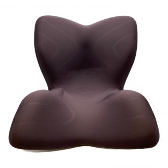 MTG (エムティージー) 骨盤サポートチェア　 style premium