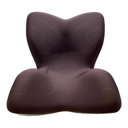 MTG (エムティージー) 骨盤サポートチェア　	style premium