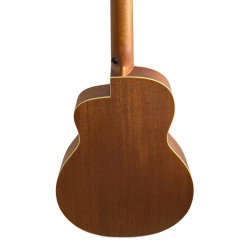 aNueNue (アヌエヌエ) アコースティックギター Bird Guitar M2