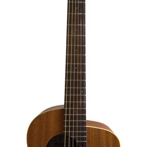 aNueNue (アヌエヌエ) アコースティックギター Bird Guitar M2