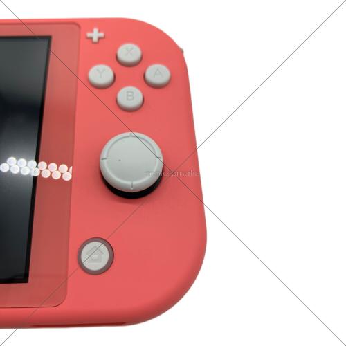 Nintendo (ニンテンドー) Nintendo Switch Lite HDH-001