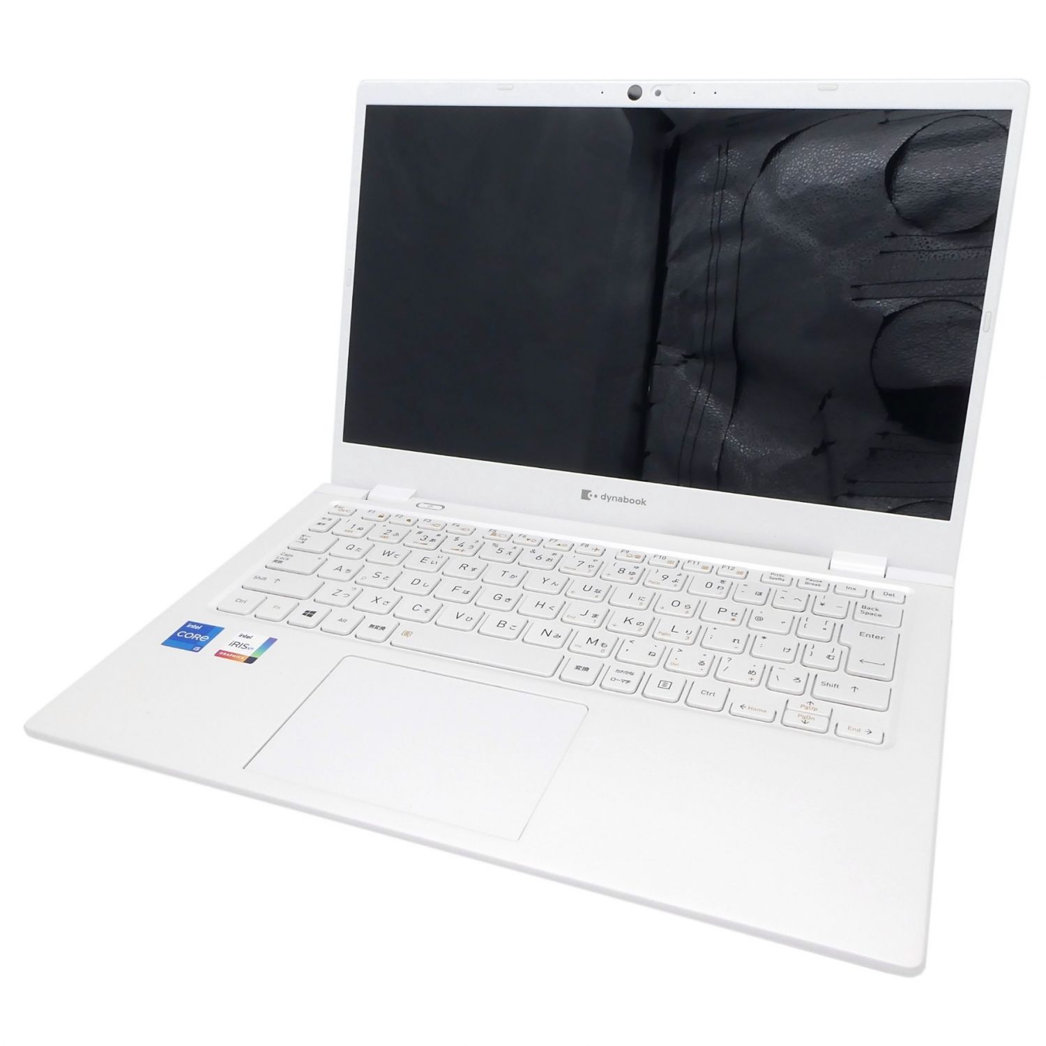 TOSHIBA (トウシバ) dynabook GCX83 A69AG5PAJLW1