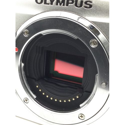 OLYMPUS (オリンパス) PEN Lite E-PL2 ミラーレス一眼カメラ パン