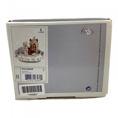 ヨークシャーテリア リャドロ 磁器 LLADRO (リヤドロ) フィギュリン 箱付 「ここが好き」 ヨークシャ