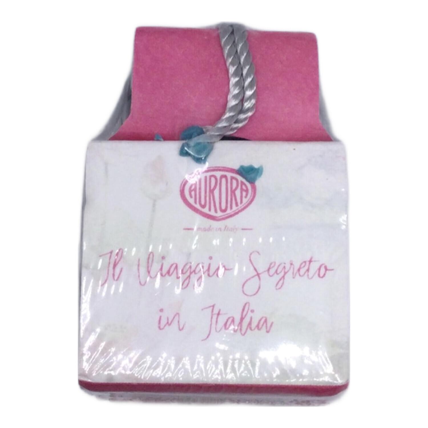 AURORA (アウロラ) 万年筆 ピンク 888-VMN Viaggio Segreto MANTOVA No