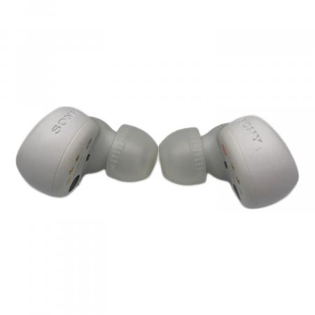 SONY (ソニー) ワイヤレスイヤホン LinkBuds S WF-LS900N