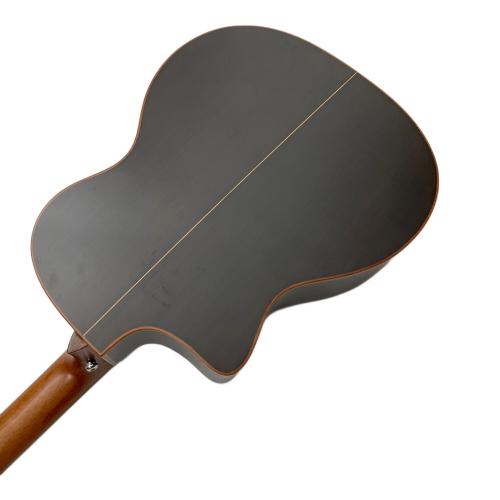 MAYSON アコースティックギター ESM/50CE