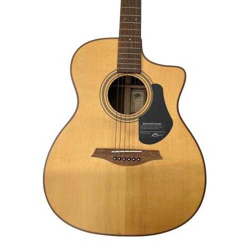 MAYSON アコースティックギター ESM/50CE