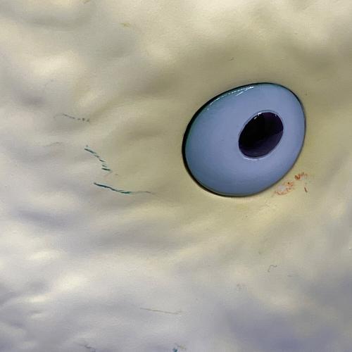 となりのトトロ (トナリノトトロ) 小トトロみ～つけた！ キャラクターグッズ スタジオジブリ30周年限定版