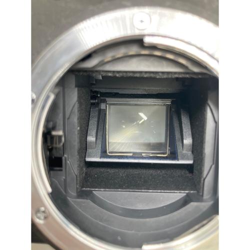 Nikon (ニコン) デジタル一眼レフカメラ D40