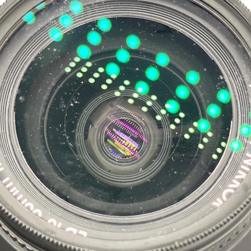 Nikon (ニコン) デジタル一眼レフカメラ D40