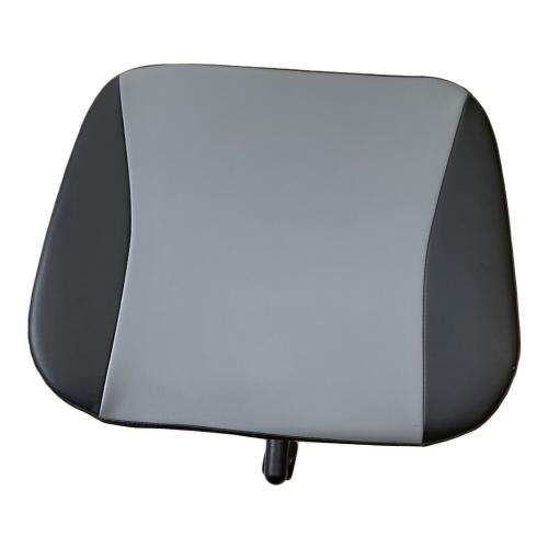 AK Racing (エーケーレーシング) ゲーミングチェア Pro-X V2 ブラック