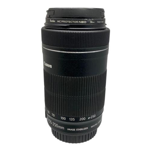 CANON (キヤノン) レンズ EFS 55-250mm MACRO 0.85m/2.8ft IS STM