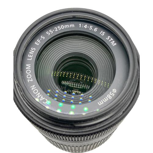 CANON (キヤノン) レンズ EFS 55-250mm MACRO 0.85m/2.8ft IS STM