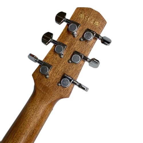 IBANEZ (アイバニーズ) Advanced Acoustic Auditorium Coral Red Burst Open Pore AAM50CE-CRO