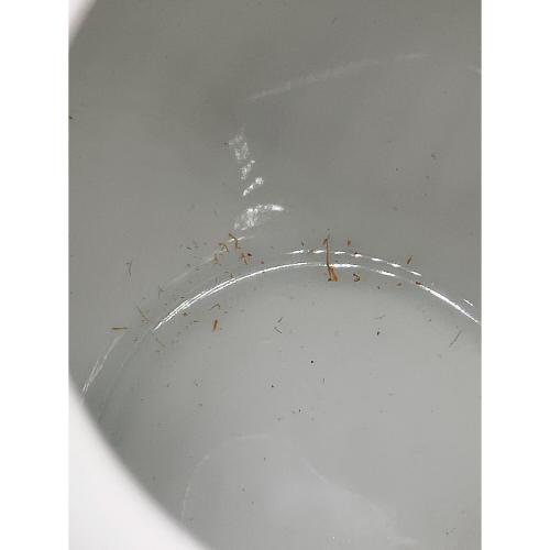 ROYAL COPENHAGEN (ロイヤル・コペンハーゲン) ティーポット 廃盤 ブラウンローズ