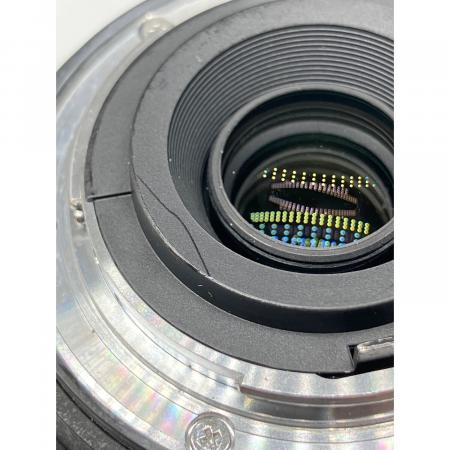 Nikon (ニコン) Nikon AFS DX NIKKOR 55-300mm 4.5-5.望遠レンズ