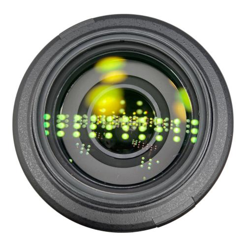 Nikon (ニコン) Nikon AFS DX NIKKOR 55-300mm 4.5-5.望遠レンズ