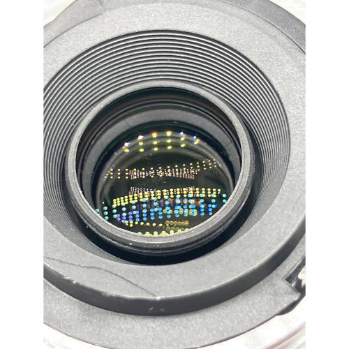 Nikon (ニコン) Nikon AFS DX NIKKOR 55-300mm 4.5-5.望遠レンズ