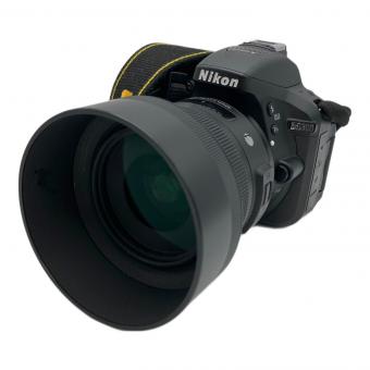 Nikon (ニコン) デジタル一眼レフカメラ D5300 バッテーリーカバー欠損