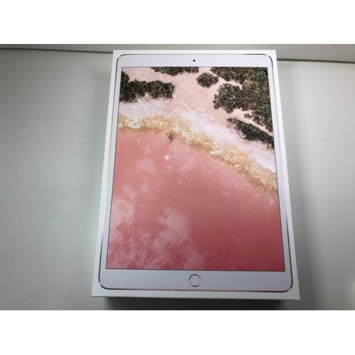 Apple (アップル) iPad Pro NPGL2J/A ○ サインアウト確認済 F6QWM002HP86