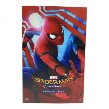 SPIDER-MAN (スパイダーマン) ZIPPO Limited 300｜トレファクONLINE