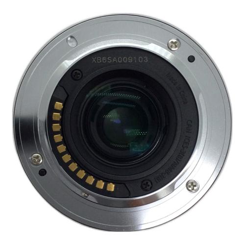 Panasonic (パナソニック) 望遠ズームレンズ H-FS35100 35-100 MEGA O.I.S. LUMIX